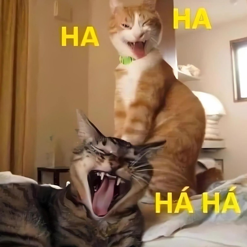 Chú mèo cười haha nhe răng đầy tinh quái