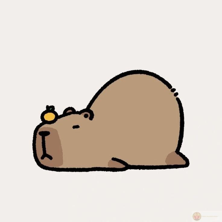 Không drama, không deadline, chỉ capybara