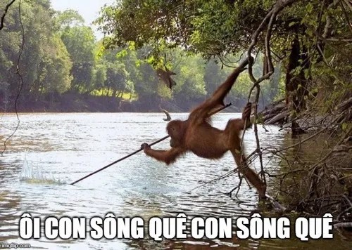 “Ôi con sông quê meme” khiến dân mạng cười xỉu vì pha quê bất hủ