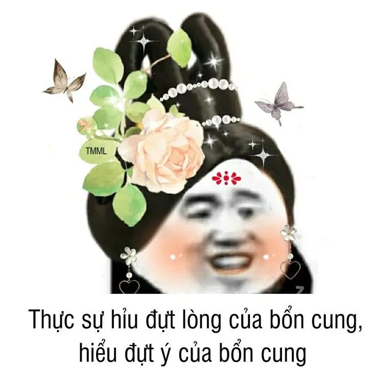 Meme gấu trúc cung đấu hài hước với biểu cảm "cười ra nước mắt", thể hiện sự bất lực hoặc trêu chọc