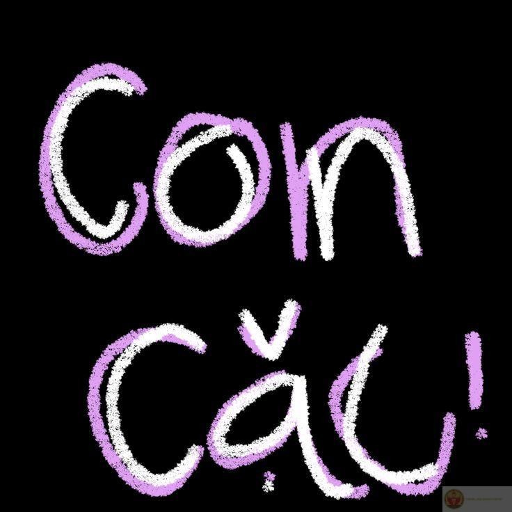 Ảnh chế hài hước nhờ có cái l kết hợp cùng con c vui tính