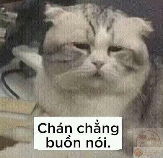 Biểu tượng chán chả buồn nói kinh điển