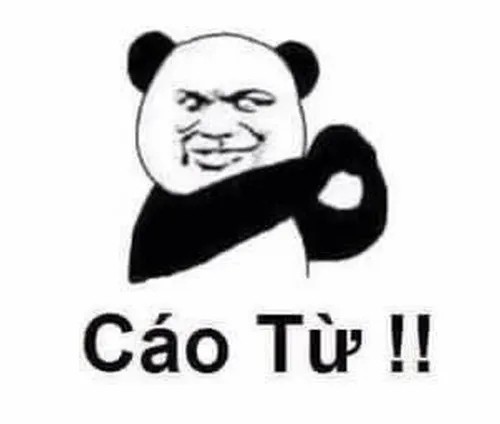 Meme gấu trúc cáo từ chắp tay cúi đầu trước màn hình Zoom