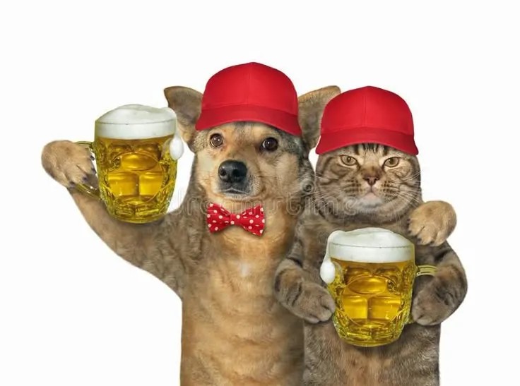 Meme chó mèo cụng ly bia, nụ cười toe toét đầy hài hước