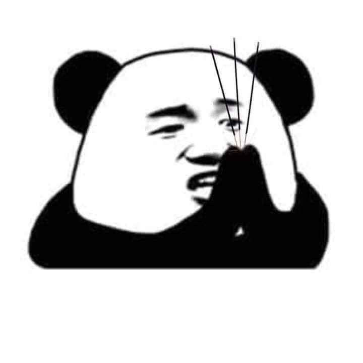 Meme gấu trúc với biểu cảm hoang mang tột độ