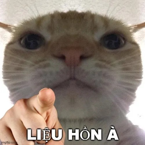 Ảnh vui kiểu “tao nhắc lần cuối nha”.