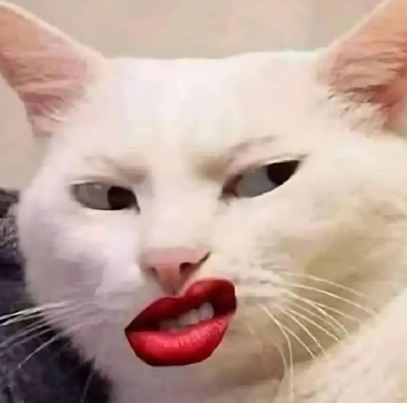 Lưu ý khi sử dụng meme cười đểu một cách văn minh