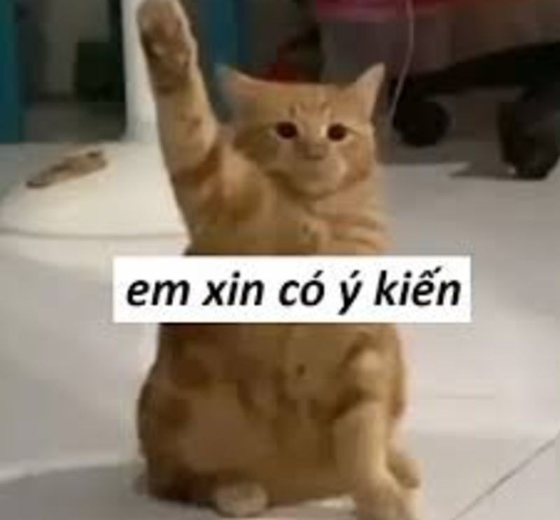 Tổng hợp các hình ảnh meme vui nhộn được yêu thích trong cộng đồng mạng
