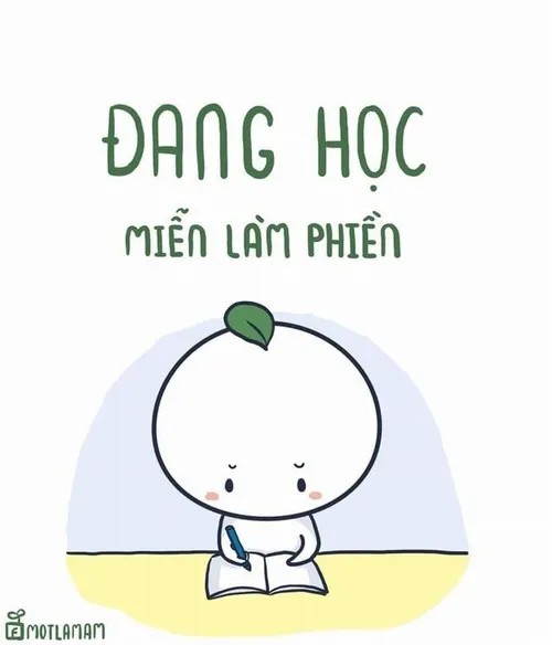60 Meme Học Bài, Lo Học Đi hài hước phơi bày cảnh ôn thi đầy căng não