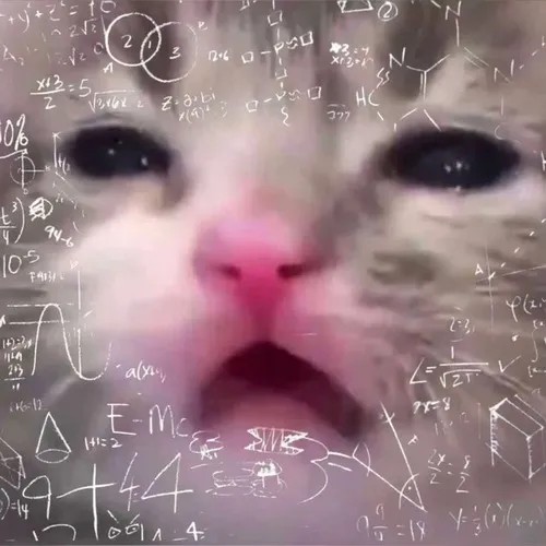 Meme mèo gương mặt hỏi chấm đang cố xử lý dữ liệu không khớp logic