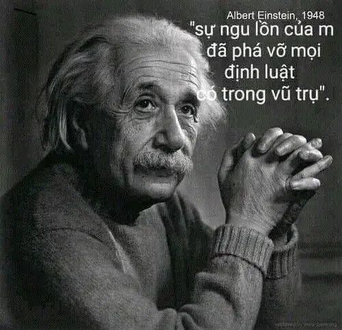 Bộ sưu tập meme lú lẫn cực giải trí cho cuộc trò chuyện