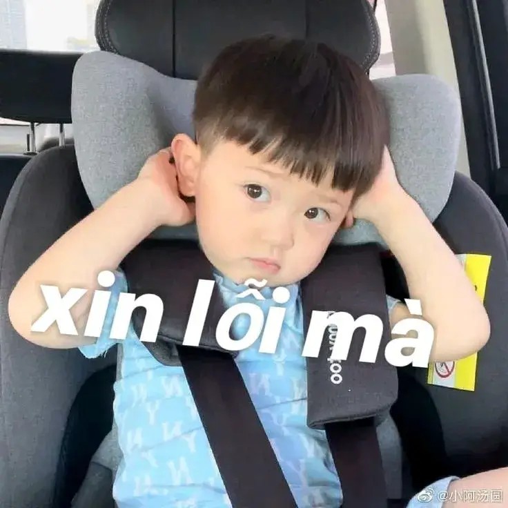 Meme dập đầu xin lỗi bá đạo với biểu cảm rất hài hước