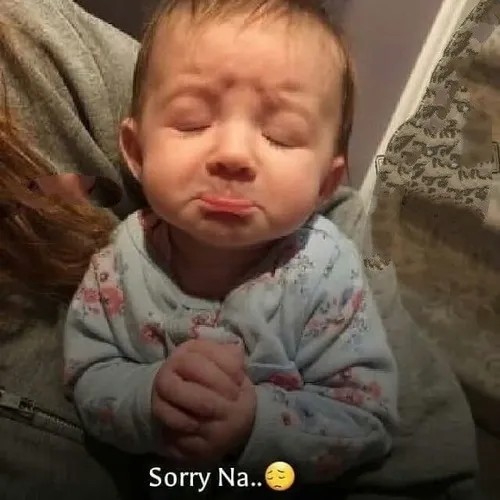 Meme với lời xin lỗi được gửi đi bằng biểu cảm đầy cảm xúc và hài hước