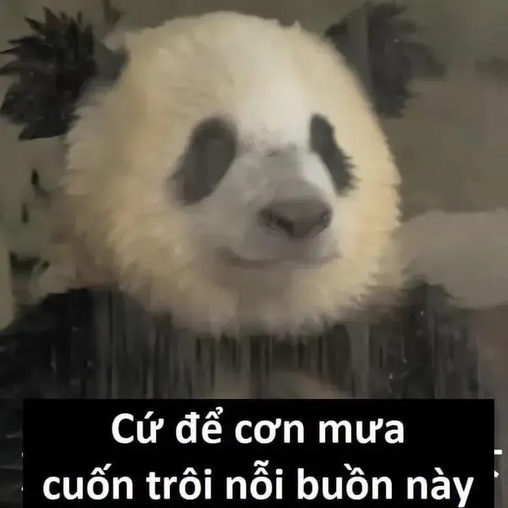 Khuôn mặt uể oải với quầng mắt đen sâu hoắm