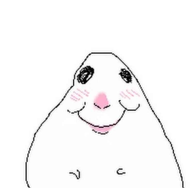 Chú hamster với đôi má phồng to đang cố gắng nhét đồ ăn vào