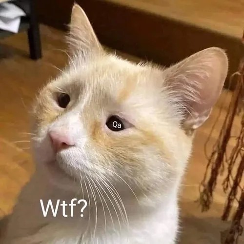 Ảnh troll biểu cảm cười nửa miệng giữa khoảnh khắc lú