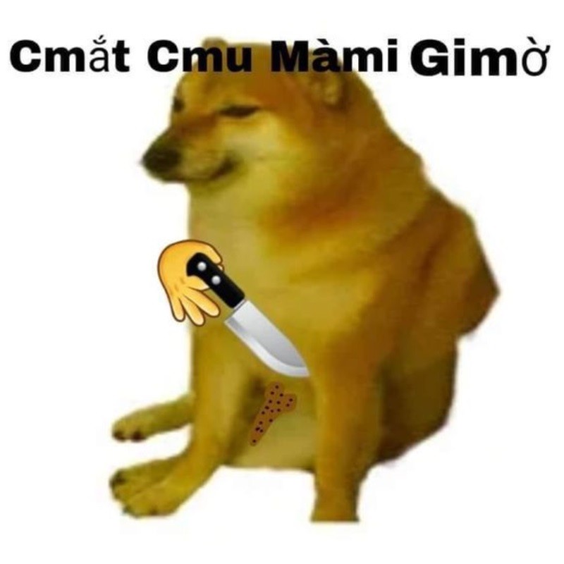 Cheems meme Việt Nam thể hiện sự hài hước qua những tình huống đời thường