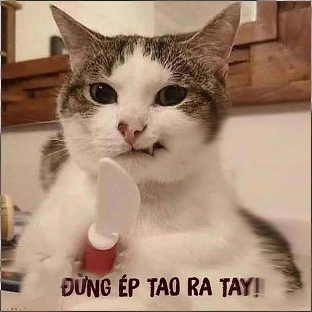 Chú chó trung thành nhưng lại "nguy hiểm" bất ngờ
