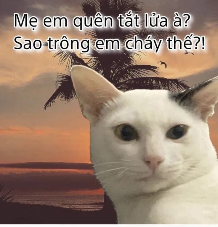 Ảnh chế triết lý xưa phiên bản Gen Z