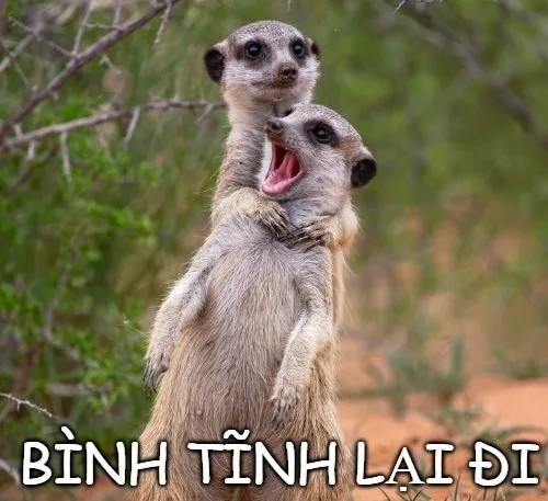 Ảnh vui thần thái hạ hỏa nhẹ kẻo bốc khói