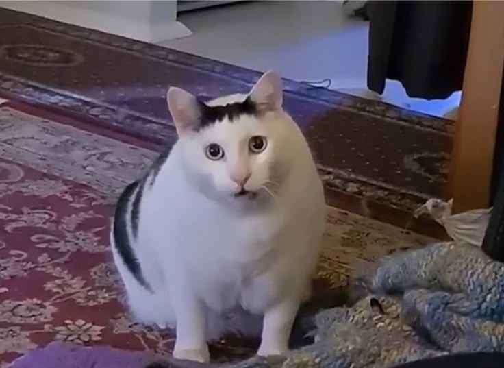 Meme khinh bỉ dùng để cà khịa cực mạnh