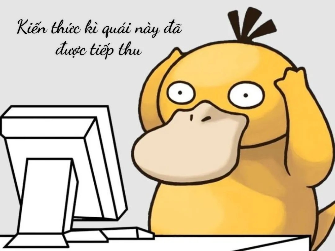Meme hài khi đầu óc bỗng nhiên sáng tỏ