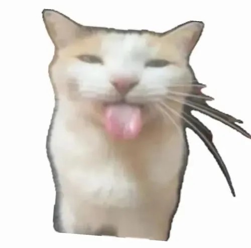 Meme mèo lêu lêu và hành trình trở thành biểu tượng trêu chọc vui nhất mạng