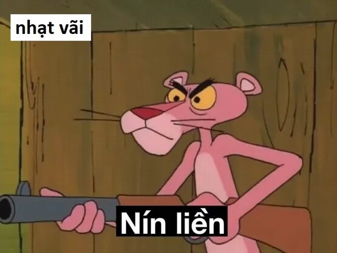 Khi nói chuyện thiếu muối, dân mạng gửi ngay meme nhạt