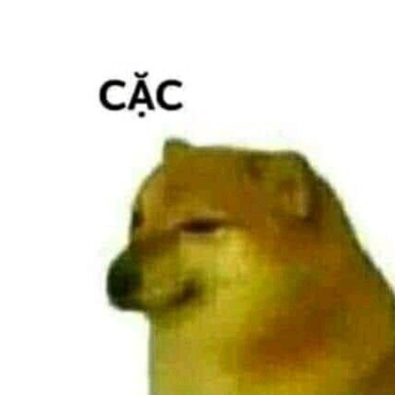 Meme chó Shiba Doge huyền thoại với gương mặt tinh nghịch và những câu nói "Much wow"
