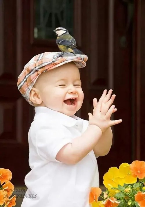 Meme em bé vỗ tay, phản ứng “đỉnh của chóp”