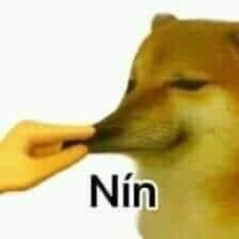 Mỗi lần Cheems mở miệng là thế giới rối với ngôn ngữ Cheemspeak độc đáo