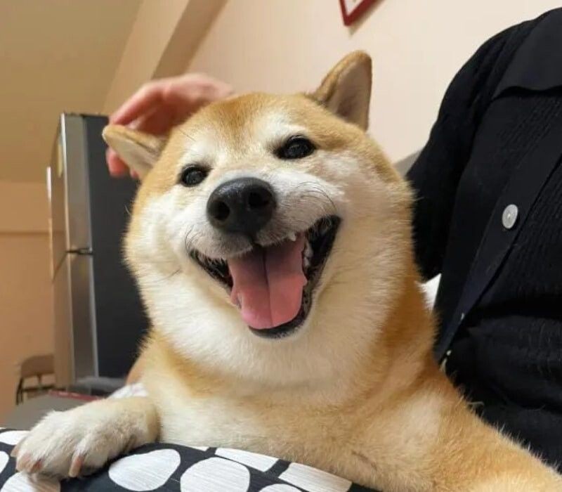 Meme cười theo đối tượng nhân vật