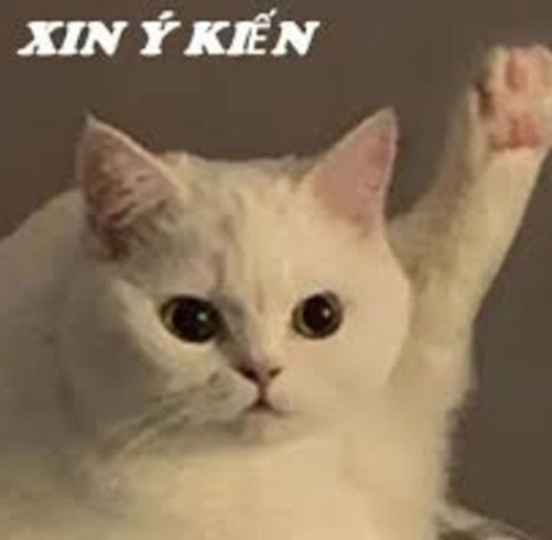 Một trong những meme ý kiến phổ biến trên mạng xã hội Việt Nam
