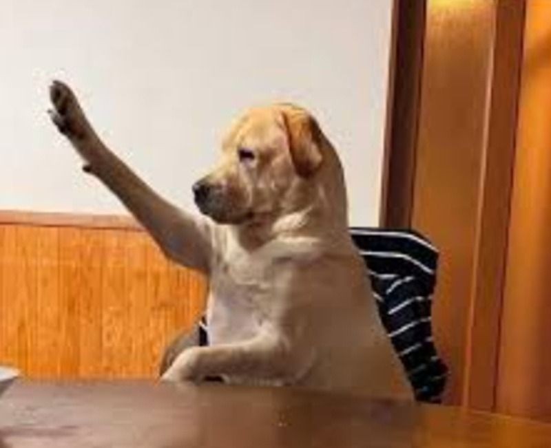 Ảnh minh họa khái niệm meme ý kiến với biểu cảm đặc trưng