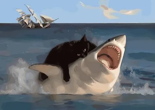 Meme hài cá mập nheo mắt nhìn xoáy nước đầy khó chịu