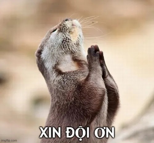 Ảnh chế mang ơn thể hiện nghĩa tình trong hỗ trợ.