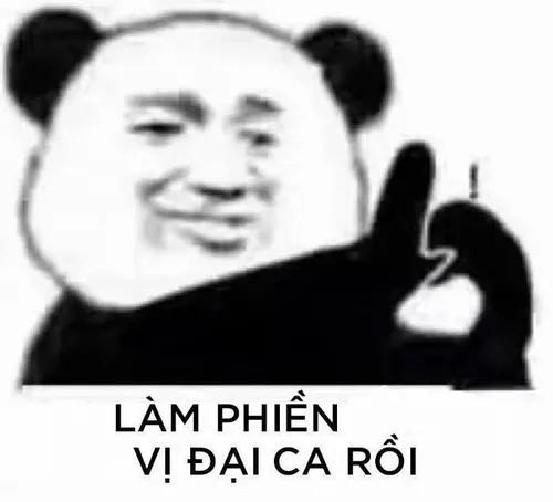Meme gấu trúc đội ơn khơi dậy mềm lòng trong nghĩa tình.
