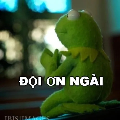 Bộ 50 Meme Đội Ơn hài hước thay lời tri ân đáp lễ cho những ân tình đã nhận