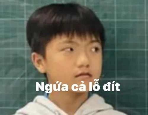 Meme gãi mông thể hiện sự khinh bỉ nhẹ nhàng nhưng vẫn sâu cay, một phản ứng tinh tế trên mạng xã hội