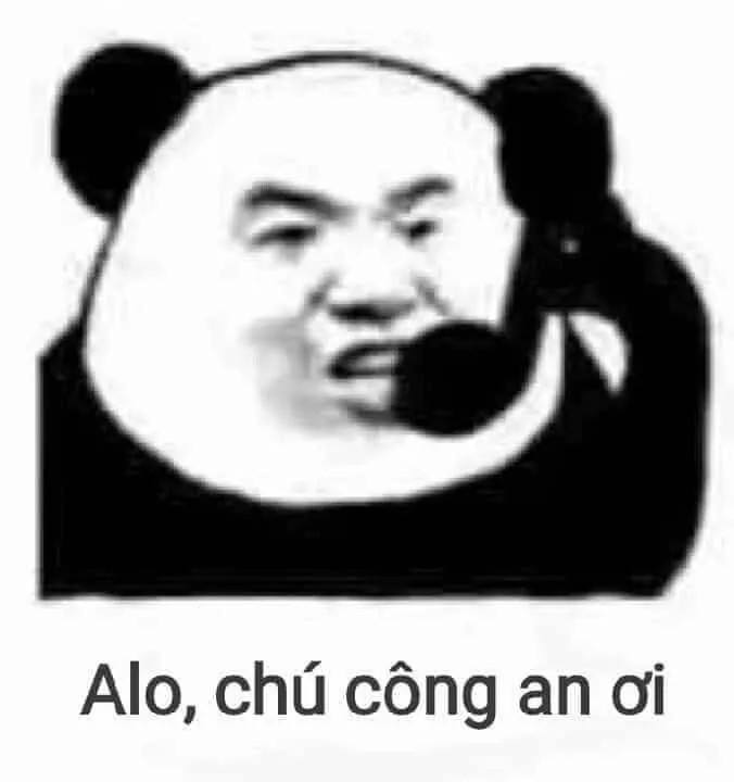 Gấu trúc báo công an
