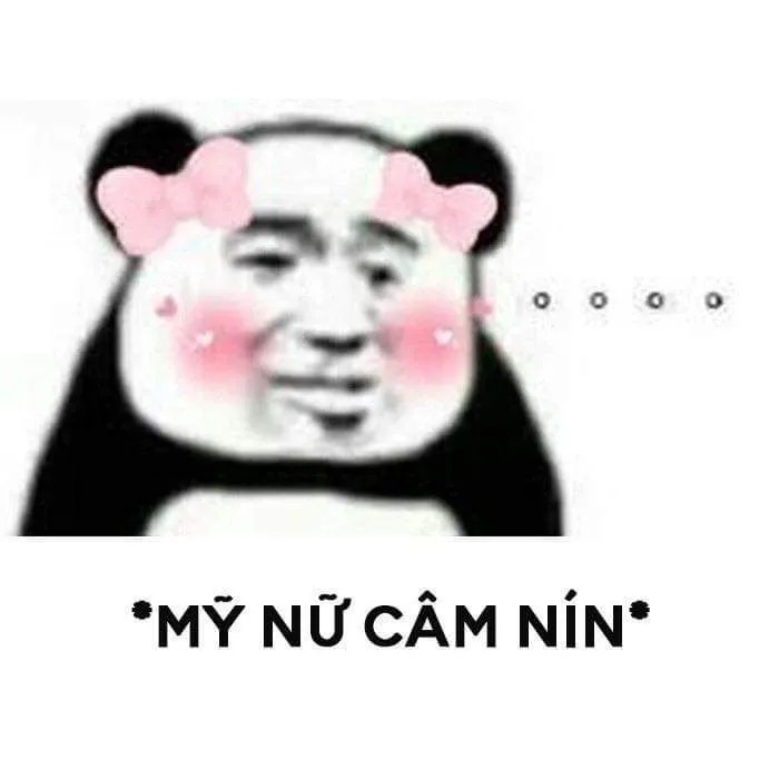 Meme gấu trúc dí dỏm: Mỹ nữ câm nín