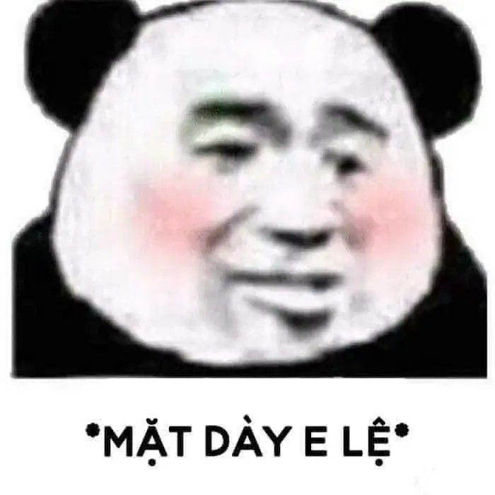 Meme gấu trúc dí dỏm mặt dầy e lệ
