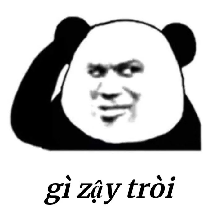 Meme gấu trúc Trung Quốc vui nhộn: Gì zậy trời