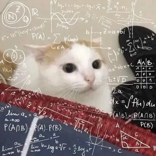 Meme mèo thắc mắc lăn tăn nhẹ dùng khi bạn bị chậm một nhịp câu chuyện