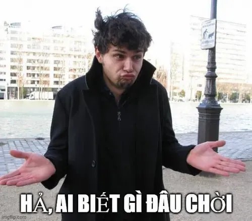 Hình chế meme mèo ngơ đang lan truyền TikTok