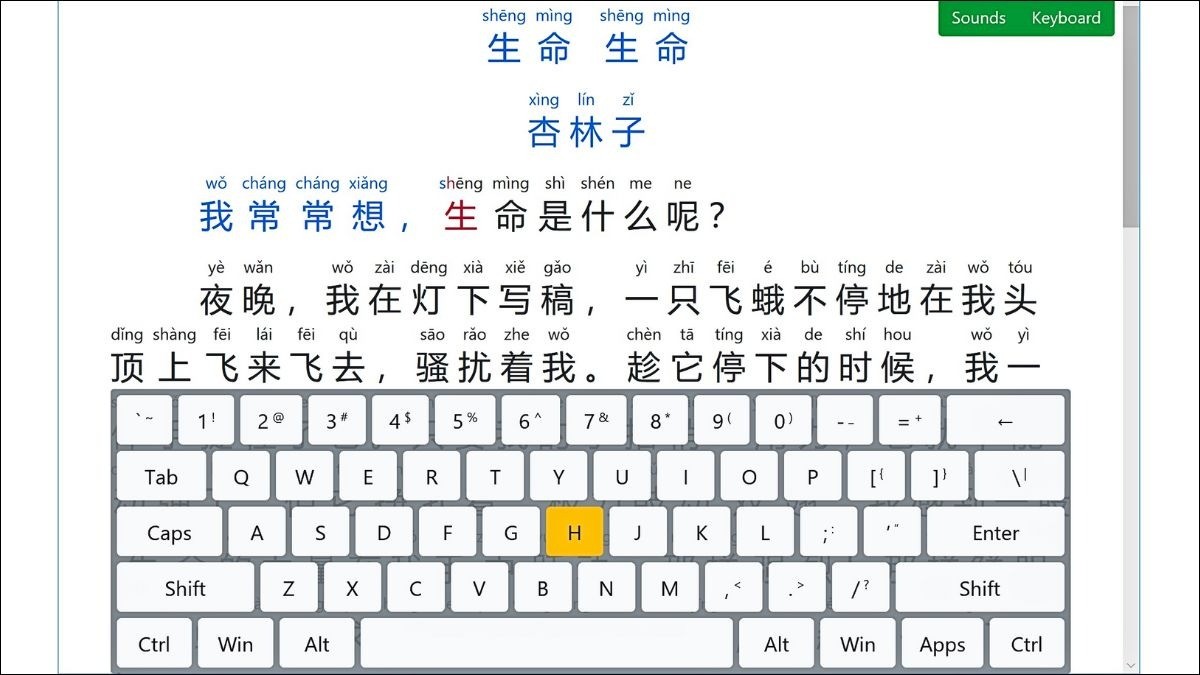 App Pynji Input