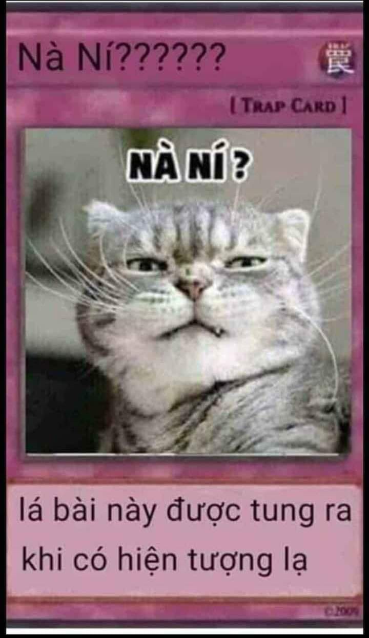 Lá bài Yugioh chế