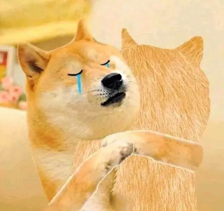 Nỗi đau vỡ òa, chú chó ôm bạn khóc to lên.