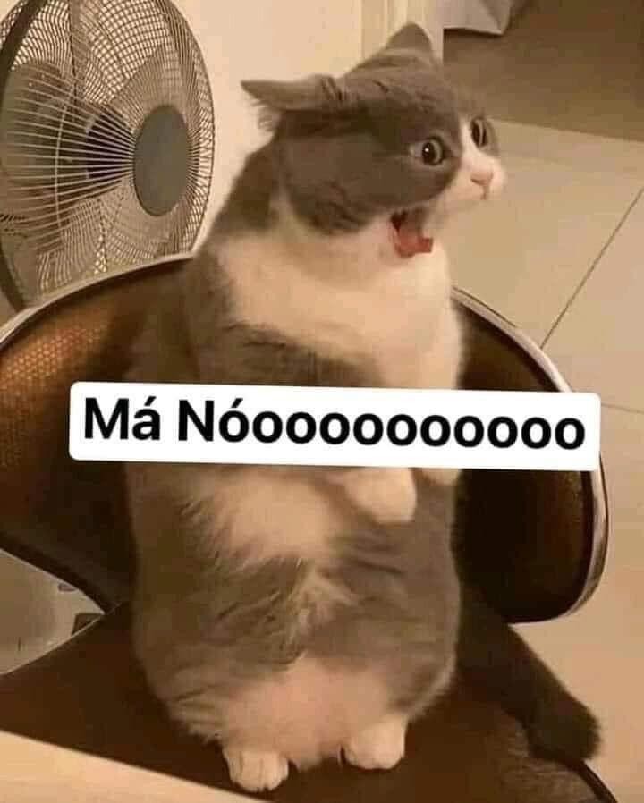 Một meme chửi với một người đàn ông có biểu cảm khó chịu
