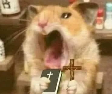 Loạt ảnh Meme Chuột Cầm Thánh Giá biểu cảm sợ sệt, hoảng loạn cực độ
